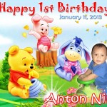 Anton Niño's 1st Birthday (Pooh & Friends)