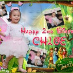 Chloe's 2nd Birthday (Tinkerbell Tarp Design)