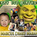 Drake's 1st Birthday (Shrek Theme)