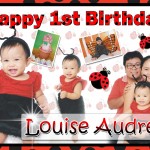 Louise Audrey's 1st Birthday - Ladybug Theme