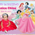 Venice 1st Birthday (Disney Princess)