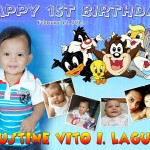 Vito's 1st Birthday Baby Looney Tunes Theme