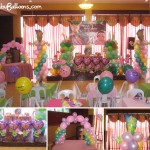 Fairy Theme Balloon Decoration Package at Hannah's Party Place