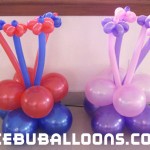 Stage Decors for Double Celebration