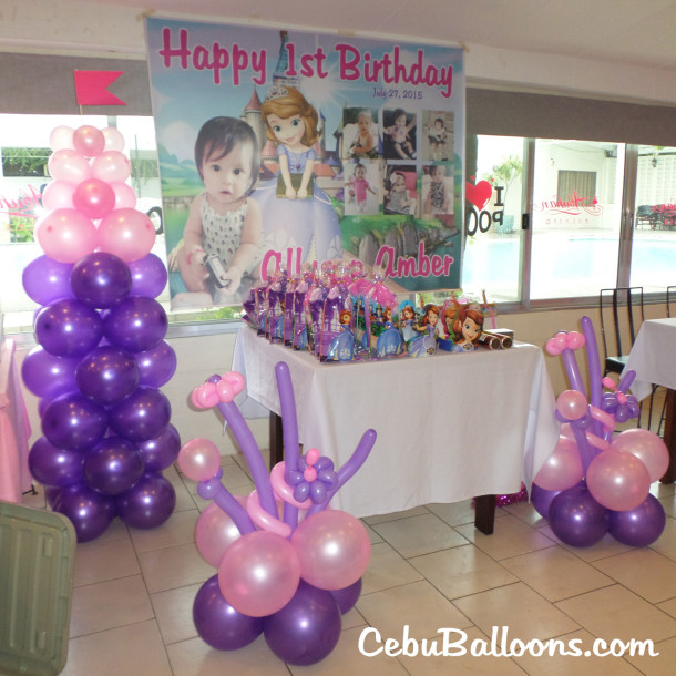 Sofia the First decor and party supplies at Abuhan South
