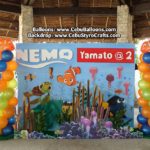 Finding Nemo Styro Backdrop at Hadsan Beach
