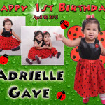Adrielle 1st Birthday (Lady Bug)
