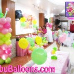 Balloon Decoration (Tinker Bell Theme)