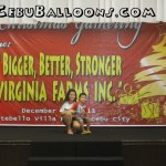 Balloon Pillars for Virginia Farms Inc