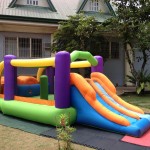 Small Inflatable with Slide (Obstacle Racer)