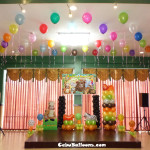 Safari Theme Balloons with Standee & Tarp at Hannah's Party Place