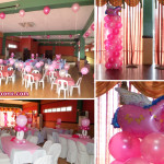 Pink Circus theme Birthday Decoration at Hannah's Party Place