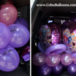 Sofia the First Balloons inside delivery van