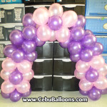 Sofia the First Cake Arch for pick-up
