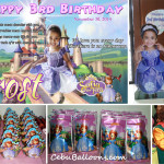 Sofia the First (Frost) Party Package at Happy Homes Lapulapu
