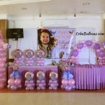 Sofia the first Decor & Party Combo Package at Maria Lina