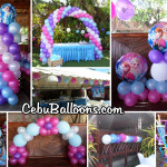 Disney Frozen Balloon Decoration with Party Items at Mama Dal’s Party Place