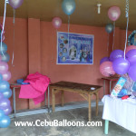 Frozen Decors and Party Supplies at Julies Compound Liloan