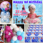 Frozen Party Supplies for Zian Kristine