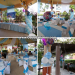 Frozen theme Balloon Decorations with Party Supplies at Virginia Hills