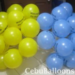 Yellow & Light Blue Stick Balloons