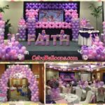 Sofia the First Bongga Package C at Parklane